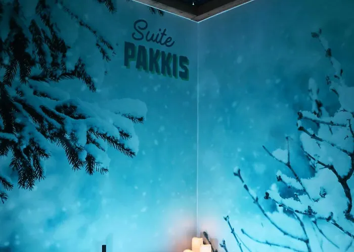 Pakkis Balneo & Ciel Etoile Boreal Apartment